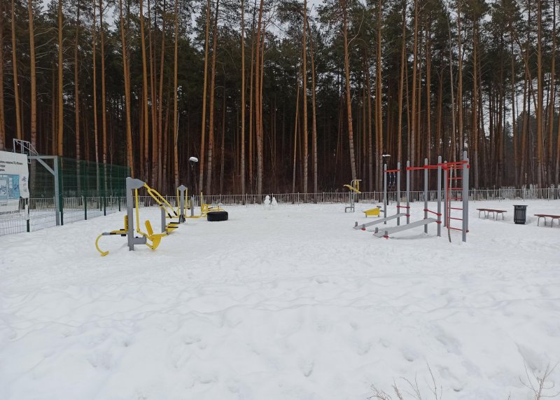 Площадка для воркаута в городе Березовский №11221 Средняя Современная фото