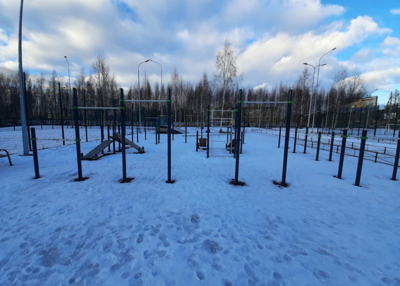 Площадка для воркаута в городе Всеволожск №11231 Маленькая Хомуты фото