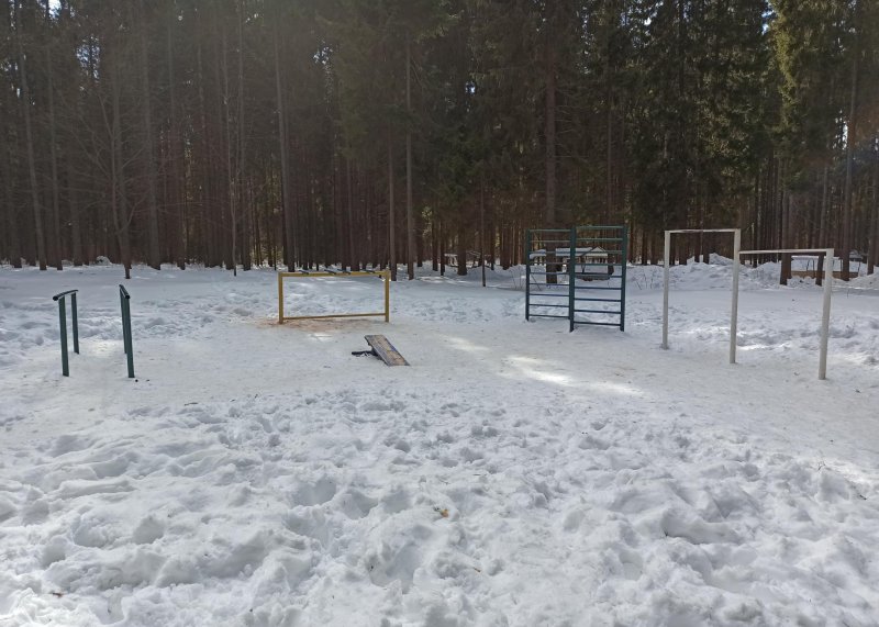 Площадка для воркаута в городе Киров №11298 Маленькая Советская фото