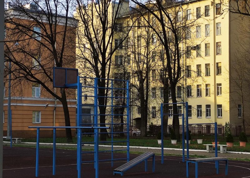 Площадка для воркаута в городе Санкт-Петербург №11637 Маленькая Советская фото