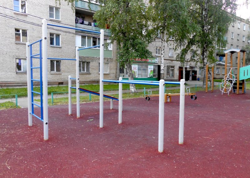 Площадка для воркаута в городе Сергиев Посад №12472 Маленькая Современная фото