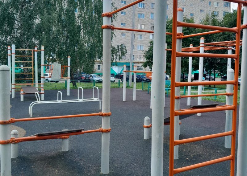 Площадка для воркаута в городе Сергиев Посад №12599 Средняя Хомуты фото