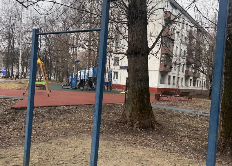 Площадка для воркаута в городе Москва №13075 Маленькая Советская фото