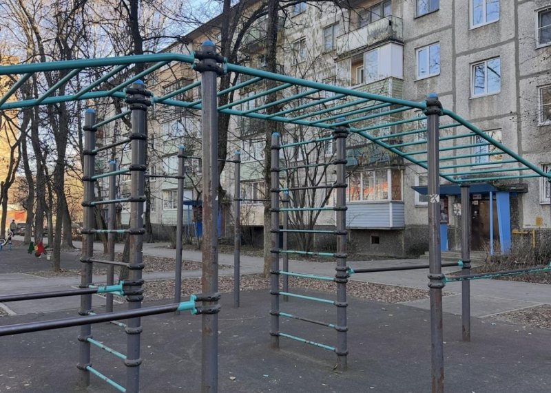 Площадка для воркаута в городе Жуковский №13081 Маленькая Хомуты фото