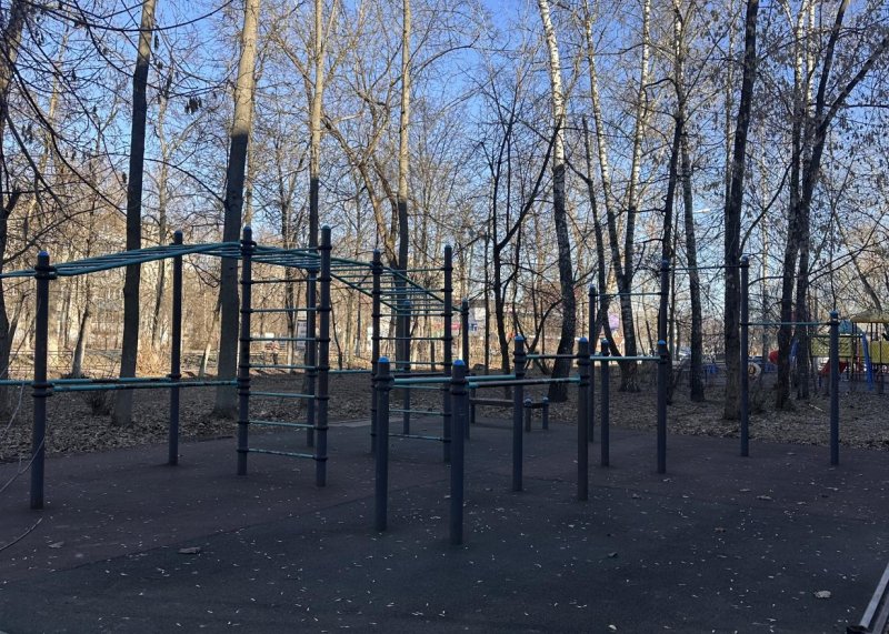Площадка для воркаута в городе Жуковский №13084 Маленькая Хомуты фото