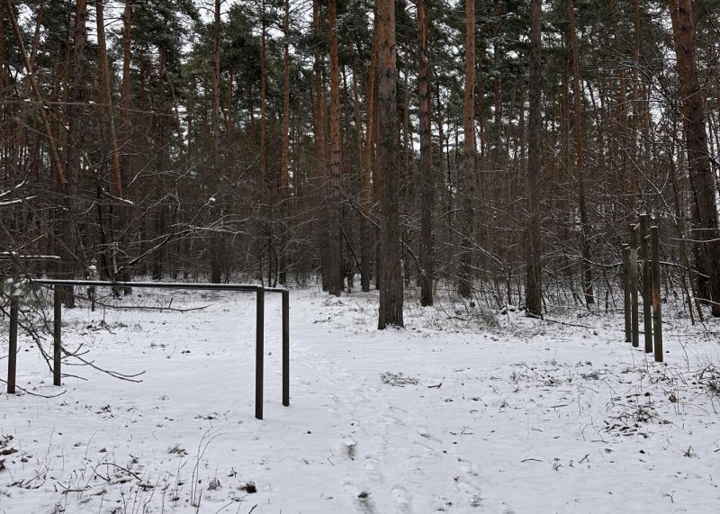 Площадка для воркаута в городе Жуковский №13086 Маленькая Советская фото