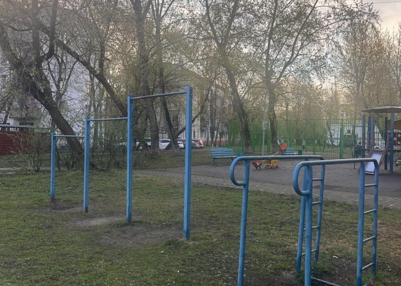 Площадка для воркаута в городе Москва №13113 Маленькая Советская фото