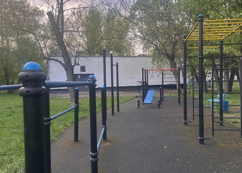 Площадка для воркаута в городе Москва №13119 Маленькая Советская фото