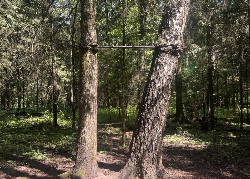 Площадка для воркаута в городе Москва №13154 Маленькая Советская фото