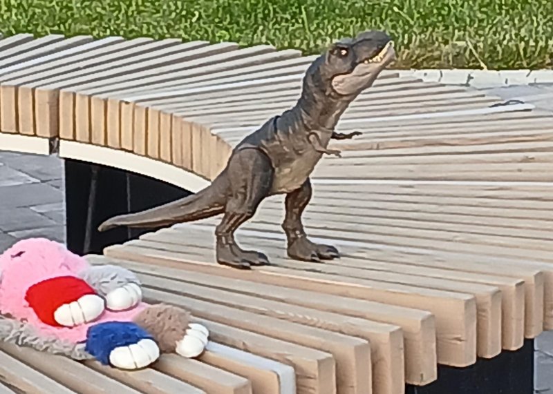 Площадка для воркаута в городе Москва №13158 Маленькая Хомуты фото