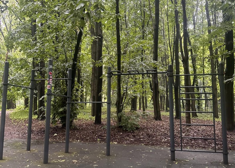 Площадка для воркаута в городе Москва №13169 Средняя Хомуты фото