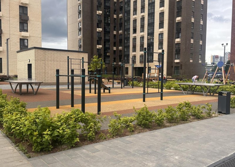 Площадка для воркаута в городе Москва №13175 Маленькая Хомуты фото