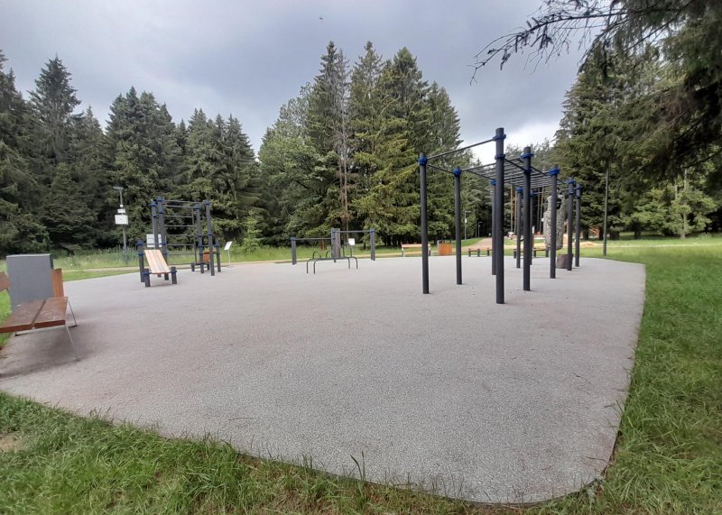 Площадка для воркаута в городе Сергиев Посад №13177 Средняя Хомуты фото