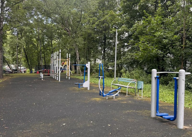 Площадка для воркаута в городе Москва №13182 Маленькая Хомуты фото