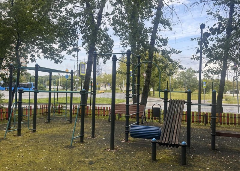 Площадка для воркаута в городе Москва №13183 Маленькая Хомуты фото