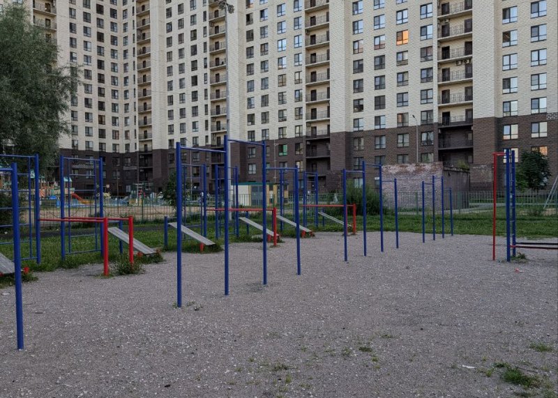Площадка для воркаута в городе Лобня №13195 Большая Советская фото