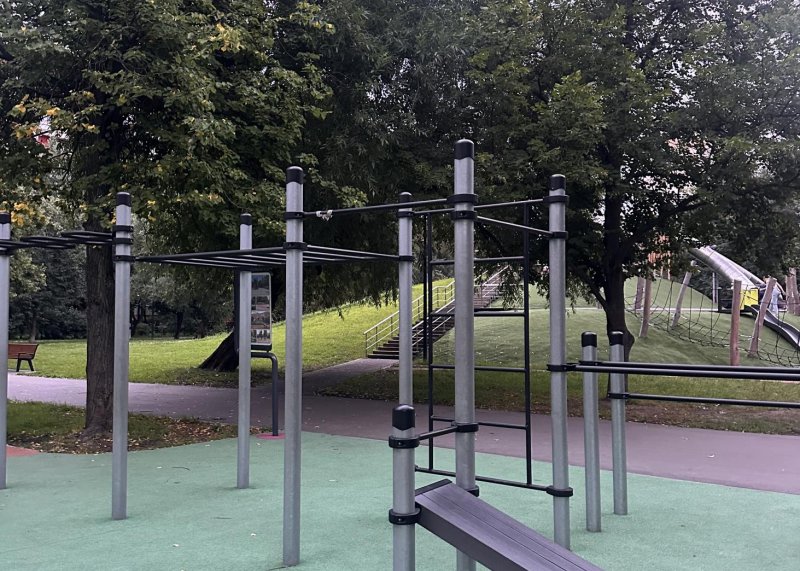 Площадка для воркаута в городе Москва №13197 Средняя Хомуты фото