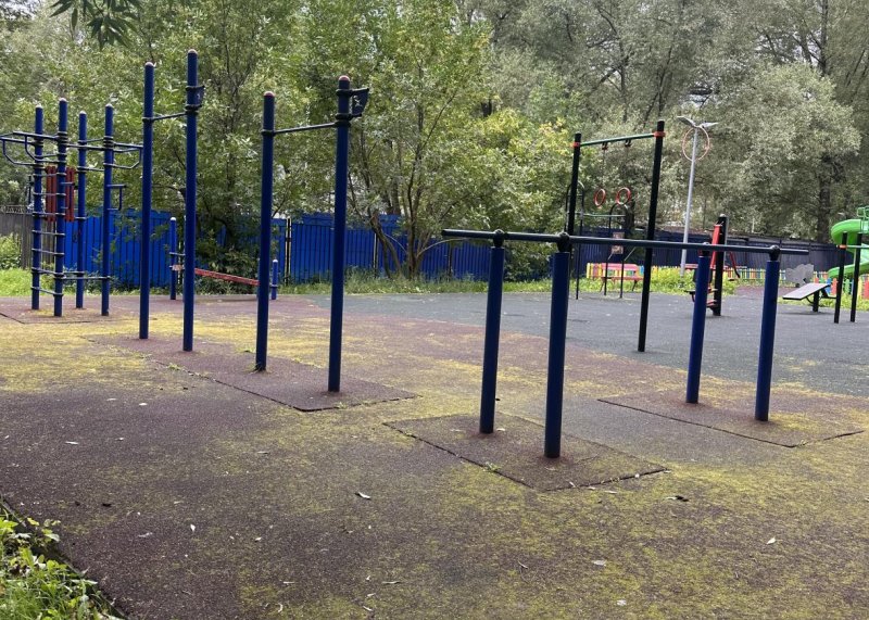 Площадка для воркаута в городе Москва №13202 Маленькая Хомуты фото