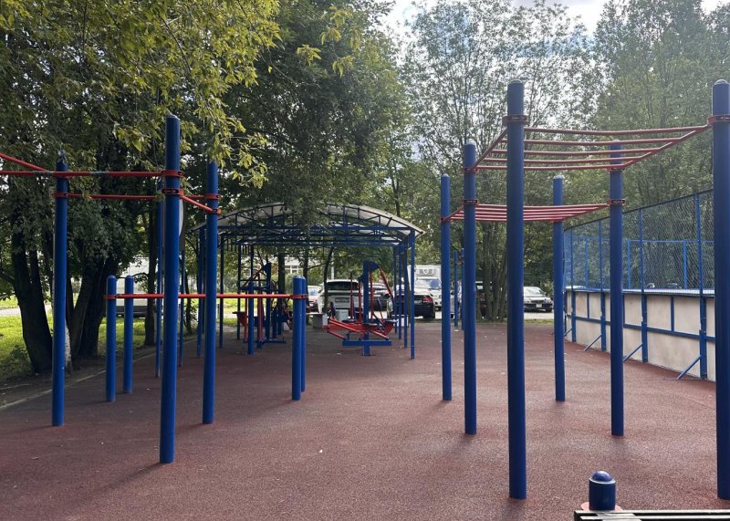 Площадка для воркаута в городе Санкт-Петербург №13206 Маленькая Хомуты фото