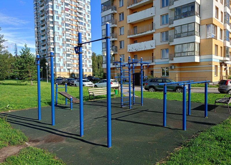 Площадка для воркаута в городе Зеленоград №13215 Маленькая Хомуты фото