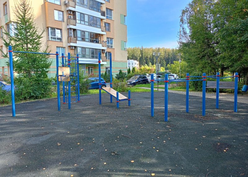 Площадка для воркаута в городе Зеленоград №13220 Маленькая Хомуты фото