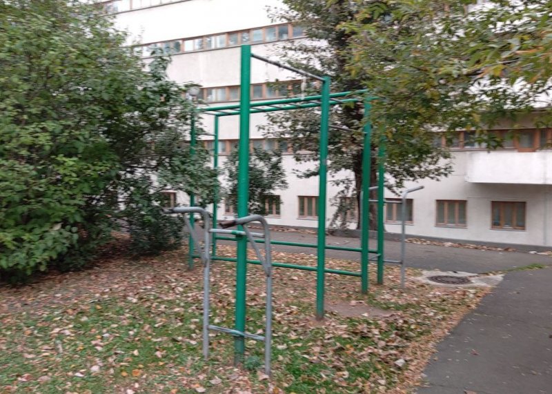 Площадка для воркаута в городе Москва №13221 Средняя Современная фото