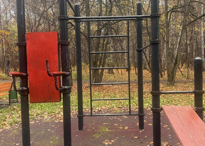 Площадка для воркаута в городе Москва №13231 Маленькая Советская фото