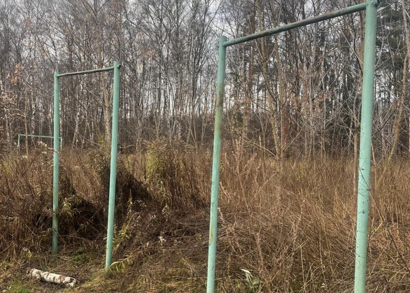 Площадка для воркаута в городе Москва №13235 Маленькая Советская фото