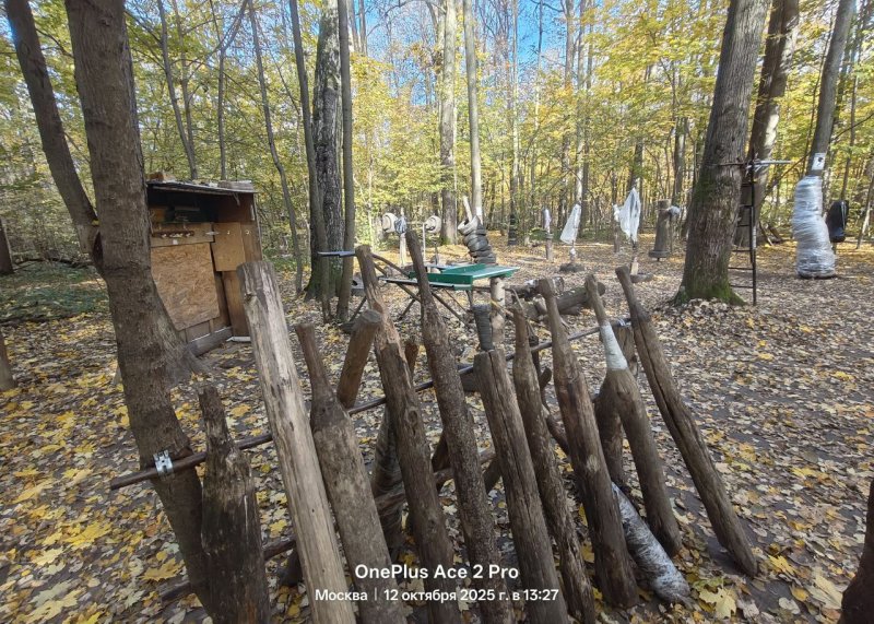 Площадка для воркаута в городе Москва №13236 Средняя Легендарная фото