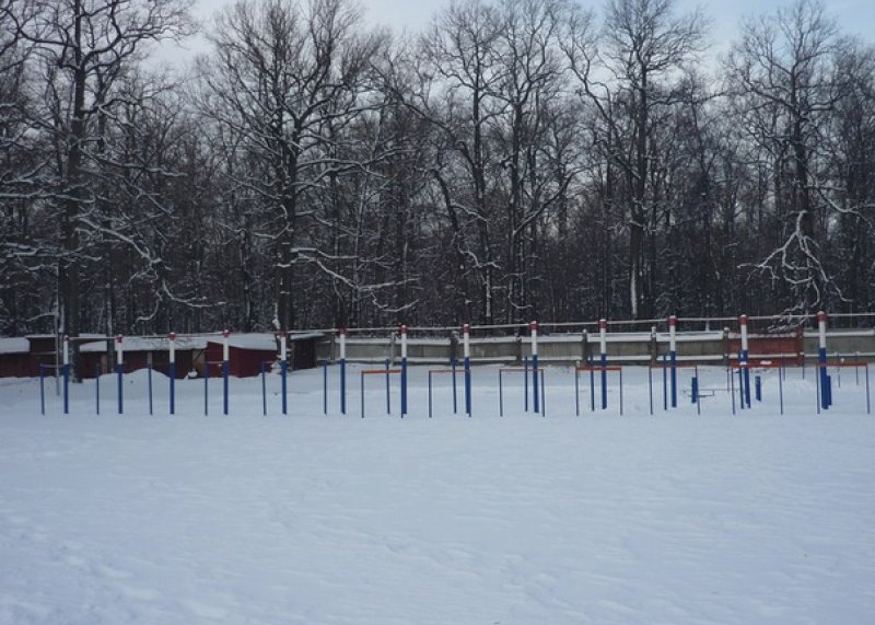 Площадка для воркаута в городе Пенза №426 Большая Советская фото