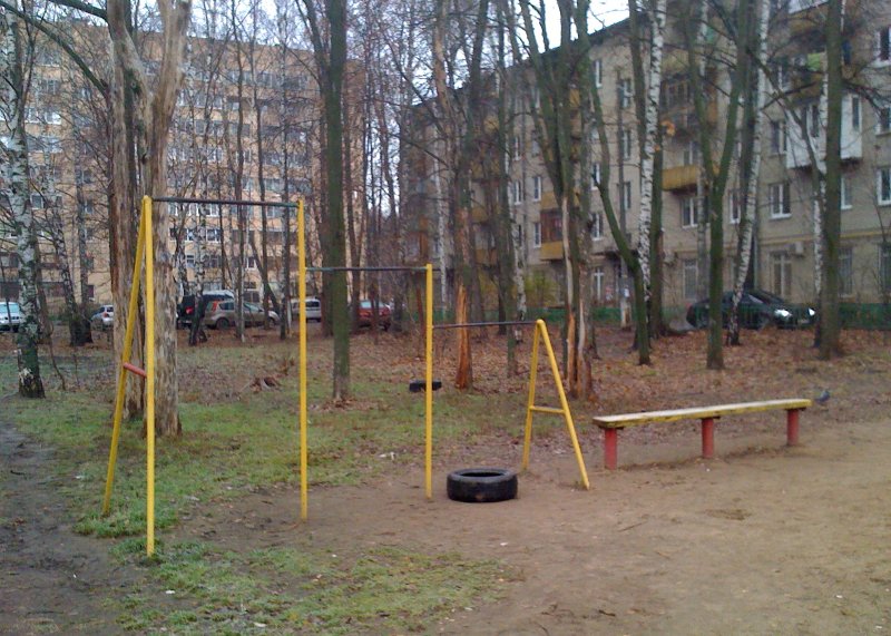 Площадка для воркаута в городе Красногорск №4604 Маленькая Советская фото