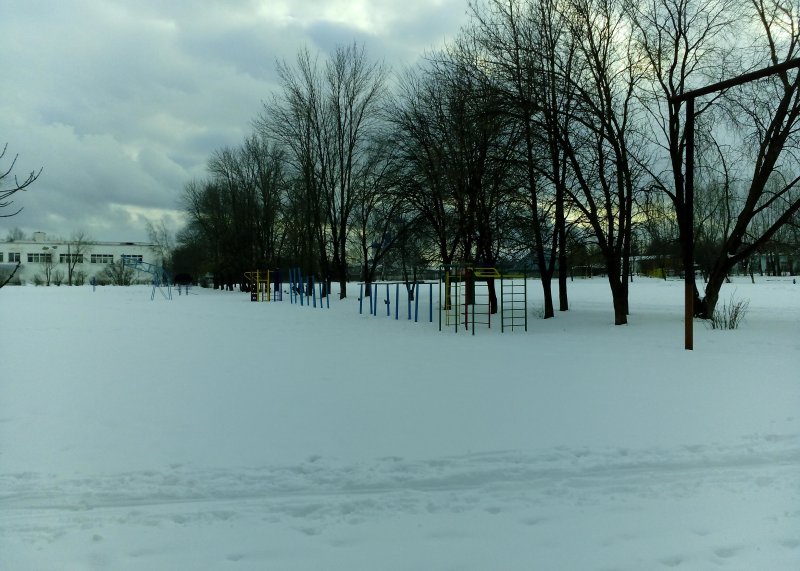 Площадка для воркаута в городе Владимир №4958 Средняя Советская фото