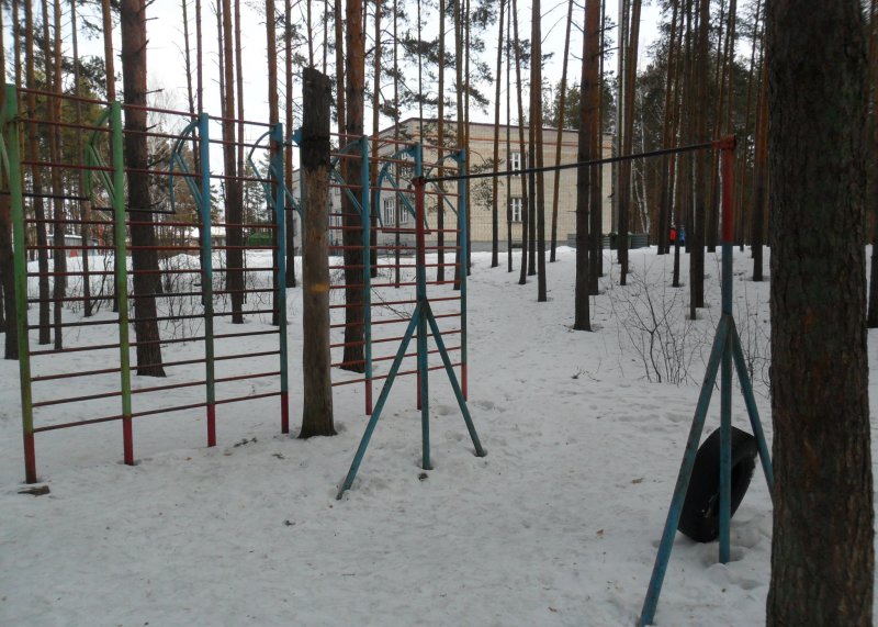Площадка для воркаута в городе Нижний Новгород №5031 Средняя Советская фото
