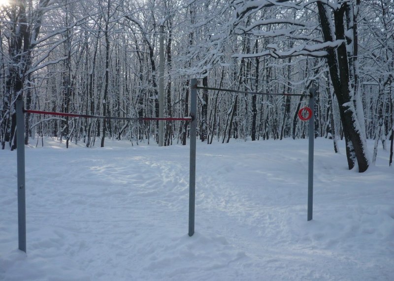 Площадка для воркаута в городе Пенза №413 Маленькая Современная фото