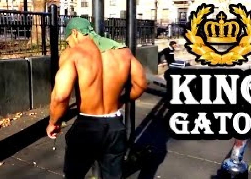 King Gator - Calisthenics inspiration