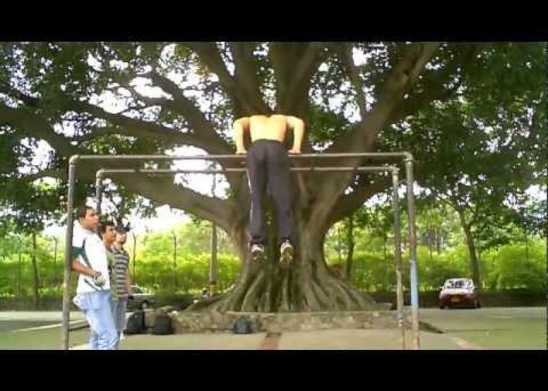 Handstands, Levers and Muscle Ups 2012