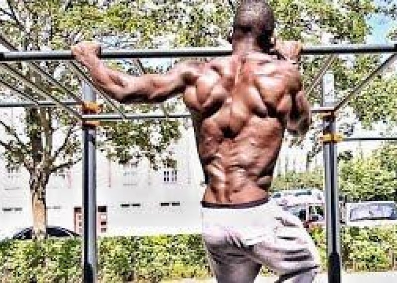 Street Workout - Everyday is Training Day! Bertrand mbi