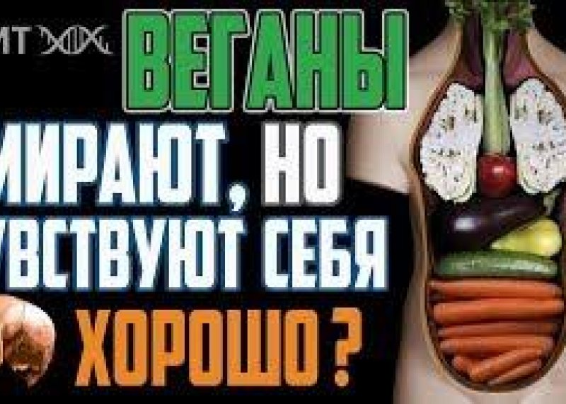 Сыроеды. Неизданное. Почему чувствуют себя хорошо?