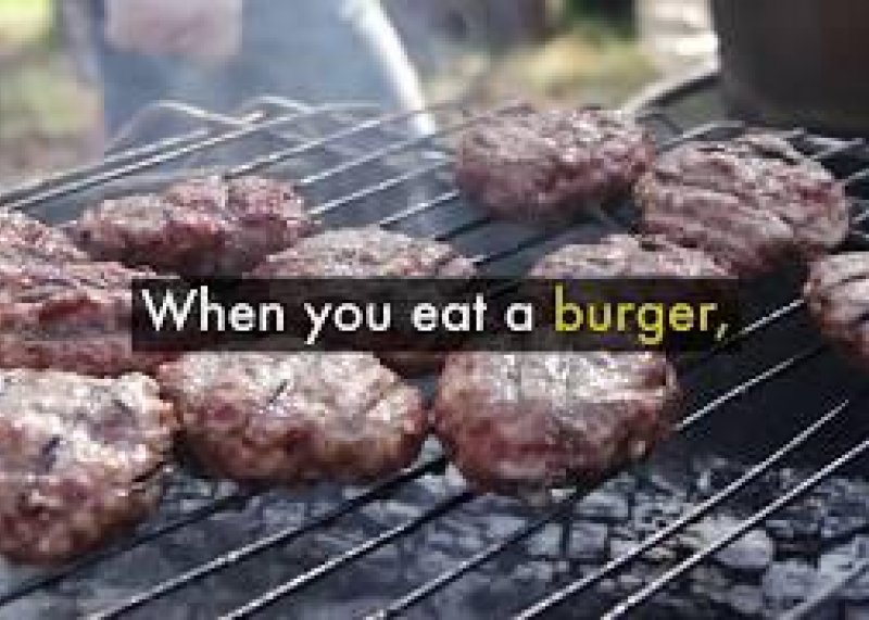 From Your Vegan Friend: What I See When You Eat Meat (That You Don't)