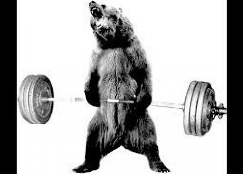 bear workout