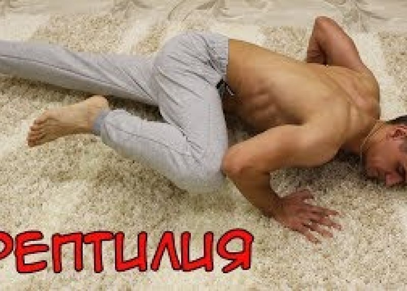 Отжимания Рептилия / Слайды #путьдрища