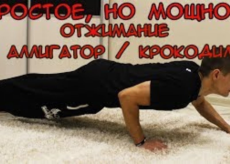 Отжимания Аллигатор #путьдрища