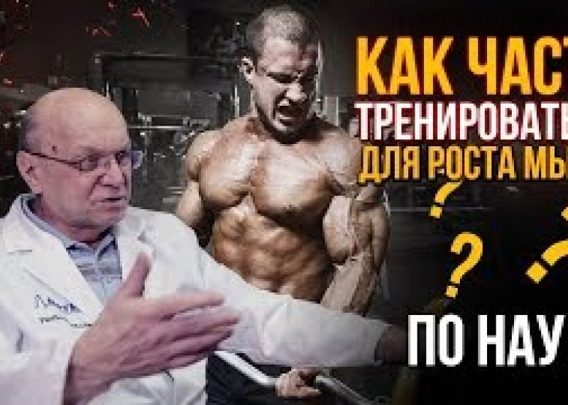 Как часто тренироваться? (Селуянов, Пауэрлифтинг, ТренЕровка)