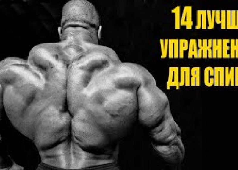 #качатьспину 14 ЛУЧШИХ УПРАЖНЕНИЙ ДЛЯ СПИНЫ  КАЧАЕМ СПИНУ ПРАВИЛЬНО