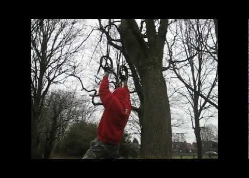 Ring workout