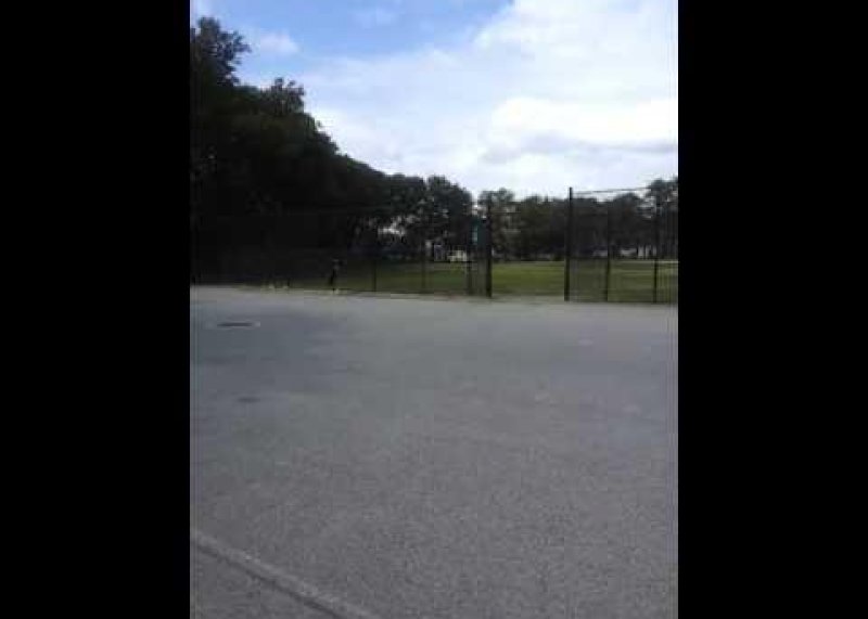 Lord Vital's Push Up Sprints