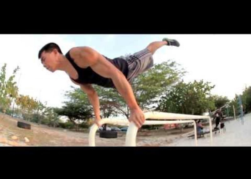 Jungle Bars - JUNGLE GYM INTRODUCTION