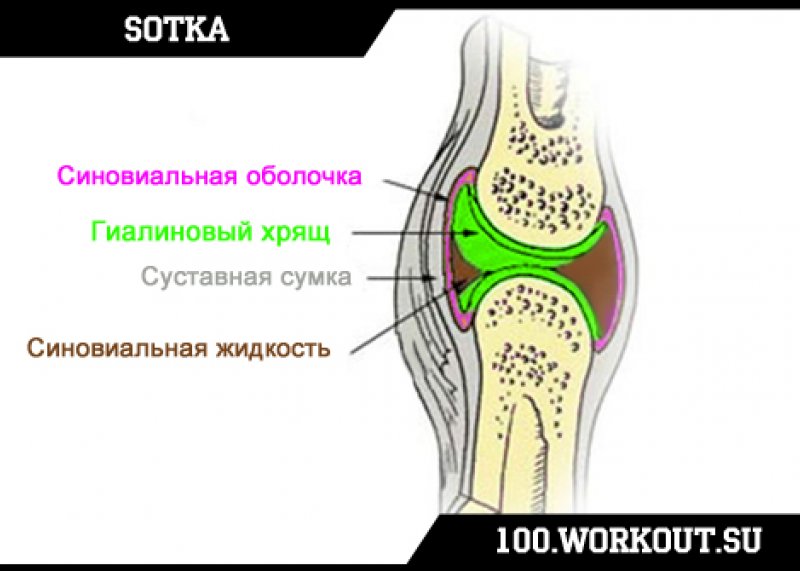 Синовиальная суставная жидкость. Синовиальная сумка. Жидкость в синовиальной сумке.